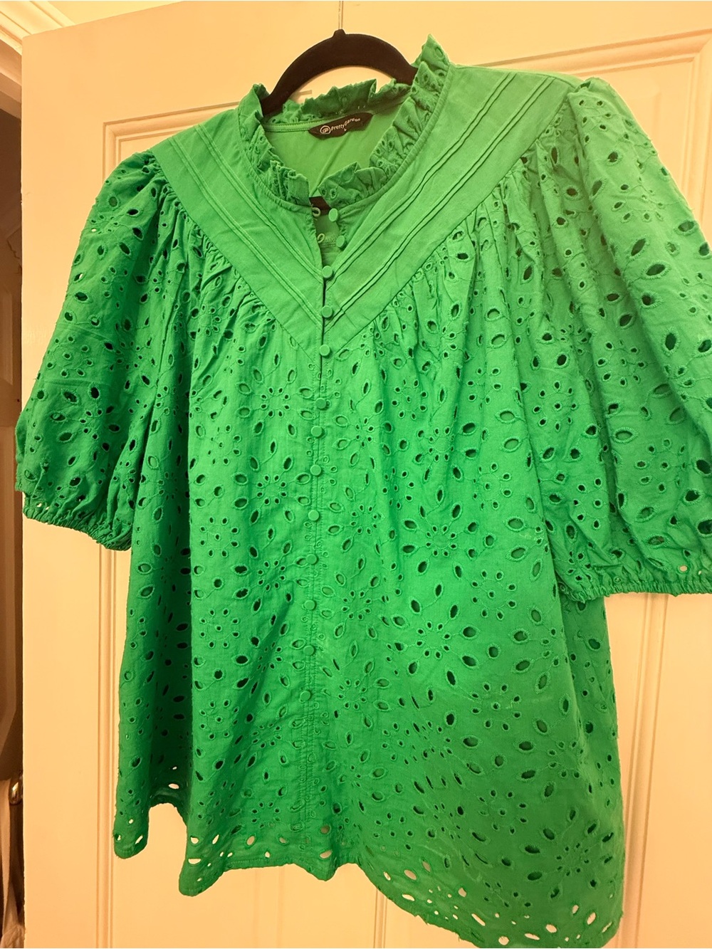 Eyelet Ruffle Yoke Blouse - Green with lining